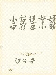 小说从赘婿到女帝宠臣小说