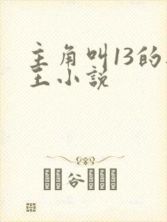 主角叫13的兵王小说