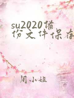 su2020备份文件保存在哪里
