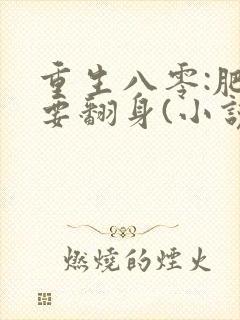 重生八零:肥妻要翻身(小说)