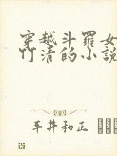 穿越斗罗女主朱竹清的小说