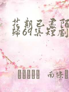 花期已尽陌路无归69集短剧