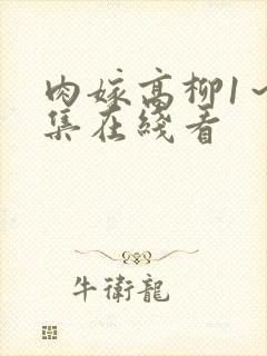 肉嫁高柳1～4集在线看