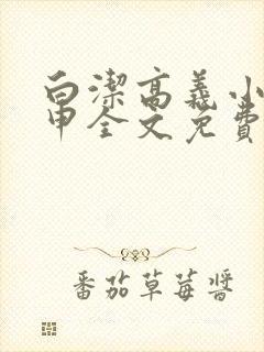 白洁高义小说王申全文免费笔趣阁阅