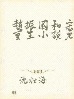 赵振国和宋婉清重生小说免费阅读