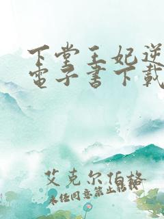 下堂王妃逆袭记电子书下载