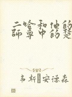 二哈和他的白猫师尊中的楚晚宁