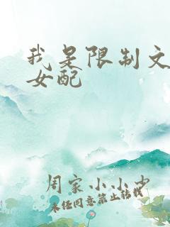 我是限制文恶毒女配