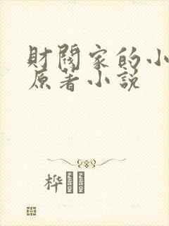 财阀家的小儿子原著小说
