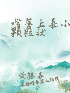 嘴唇上长小白点颗粒状