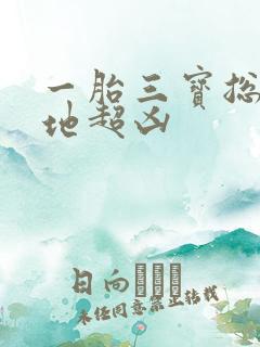 一胎三宝总裁爹地超凶