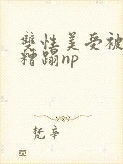 双性美受被粗人糟蹋np