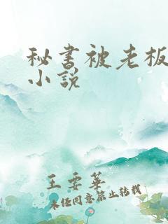 秘书被老板调教小说