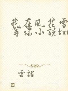 我在风花雪月里等你小说txt网盘