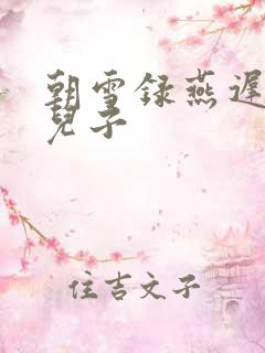 朝雪录燕迟是谁儿子