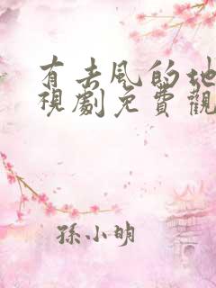 有去风的地方电视剧免费观看