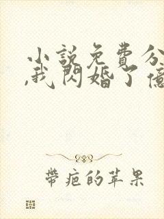 小说免费分手后,我闪婚了亿万富豪