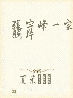 张宇峰一家三口照片