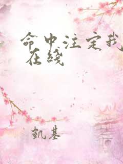 命中注定我爱你 在线