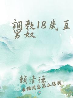 调教18岁直性男奴