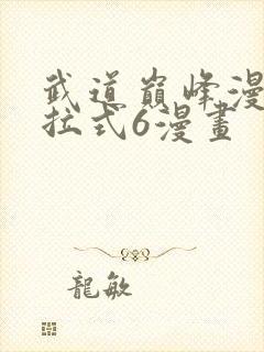 武道巅峰漫画下拉式6漫画