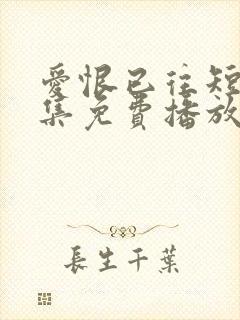 爱恨已往短剧全集免费播放