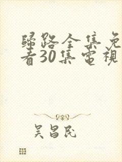 归路全集免费观看30集电视剧