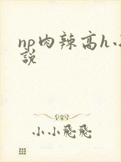 np肉辣高h小说