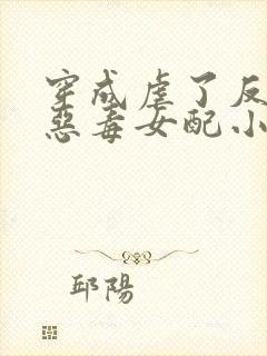 穿成虐了反派的恶毒女配小说