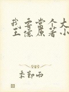 我要当个大坏蛋王亿原著小说免费