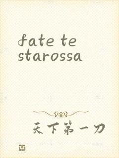 fate testarossa