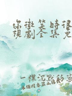 你微笑时很美电视剧全集免费