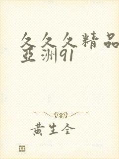 久久久精品国产亚洲91