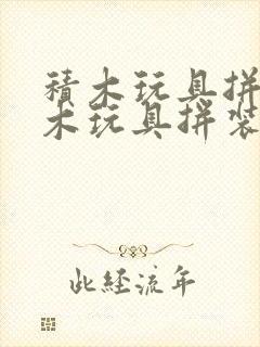 积木玩具拼装积木玩具拼装