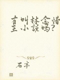 有叫林念惜的女主小说吗?