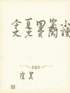 今夏回响小说全文免费阅读最新章节