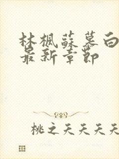 林枫苏慕白穿越最新章节