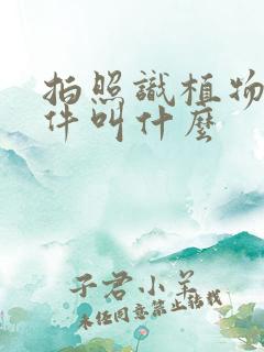 拍照识植物的软件叫什么