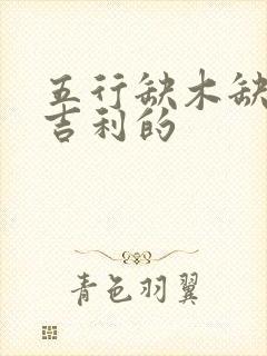 五行缺木缺金最吉利的