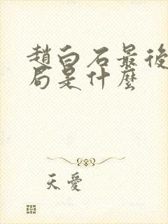 赵白石最后的结局是什么