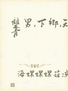 双男,下乡,知青