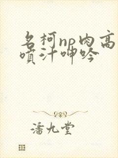 名柯np肉高h喷汁呻吟