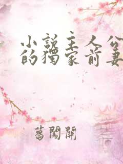 小说主人公秦少的独家前妻免费阅读