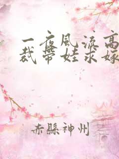 一夜风流高冷总裁带娃求嫁