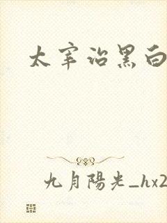 太宰治黑白漫画