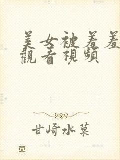 美女被羞羞在线观看视频