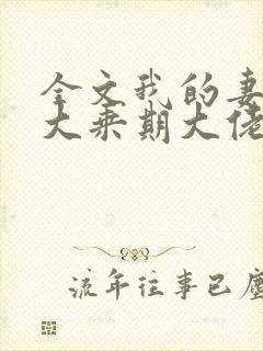 全文我的妻子是大乘期大佬