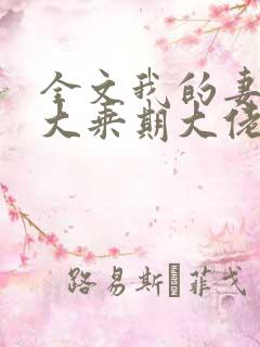 全文我的妻子是大乘期大佬