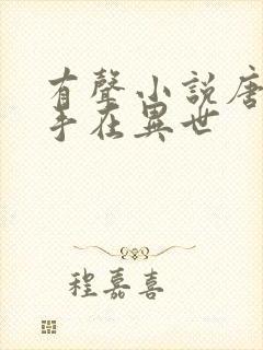 有声小说唐门高手在异世