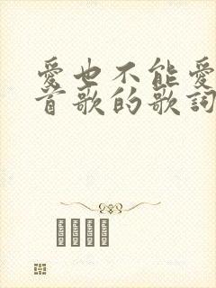 爱也不能爱是哪首歌的歌词